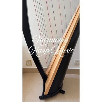 SOLD - 2nd Hand Harp - Lyon & Healy Ogden 34 SOLD - 2nd Hand Harp - Lyon & Healy Ogden 34