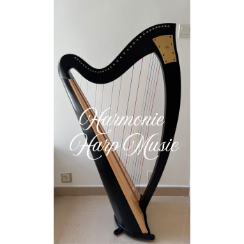 SOLD - 2nd Hand Harp - Lyon & Healy Ogden 34 SOLD - 2nd Hand Harp - Lyon & Healy Ogden 34