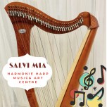 SOLD - 2nd Hand Salvi Mia Harp SOLD - 2nd Hand Salvi Mia Harp