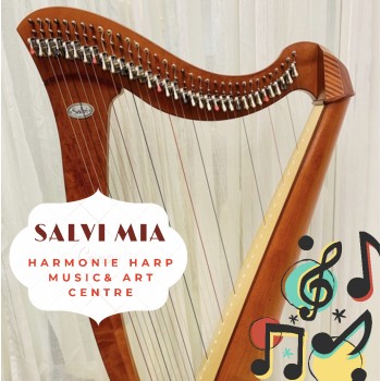 SOLD - 2nd Hand Salvi Mia Harp