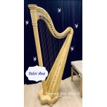 SOLD - 2nd hand Salvi Ana harp SOLD - 2nd hand Salvi Ana harp