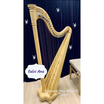 SOLD - 2nd hand Salvi Ana harp