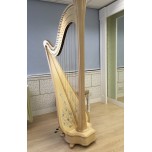 Practice Room - Pedal Harp Practice Room - Pedal Harp