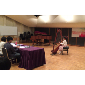 Participate in Harp Solo