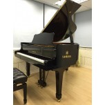 Individual Lesson - Piano (Beginners with Grand Piano) Individual Lesson - Piano (Beginners with Grand Piano)