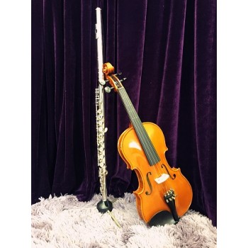 Individual Lesson - Flute or Violin or Cello