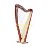 Salvi T2 - Biocarbon Version Salvi T2 - Biocarbon Version