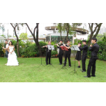 Live Music - Woodwind Groups with Flute, Clarinet, Saxophone
