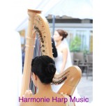 Live Music - Harp Solo